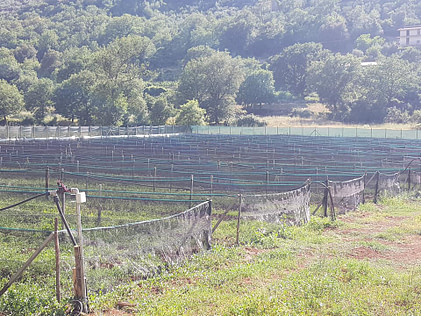 Foto sede operativa foto sede operativa azienda produttrice di bava di lumaca e prodotti cosmetici